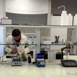 Une évaluation de l'infestation